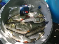 Photo0032.webp