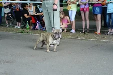 cRPGEtxPmCI.webp