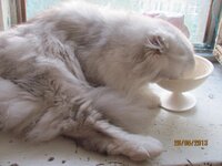 IMG_9748-.jpg