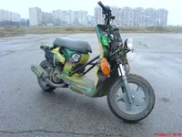 yDSC02720.webp