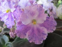 IMG_4892.webp
