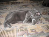 134_3434.jpg