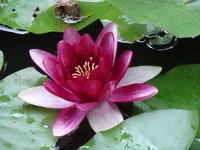 DSC02930.webp