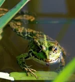 DSC_0045.webp