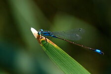 DSC_0064.jpg