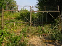 IMG_0037.JPG