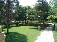DSC02956.webp