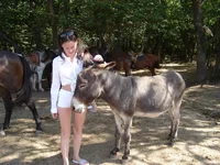 DSC02980.webp