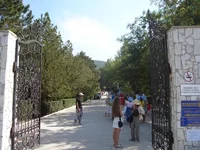 DSC03319.webp