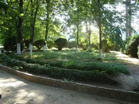 DSC03346.webp
