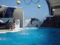 DSC03524.webp