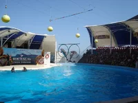 DSC03527.webp