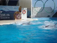 DSC03530.webp