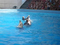 DSC03544.webp