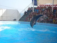 DSC03565.webp