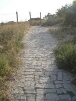 DSC03667.webp