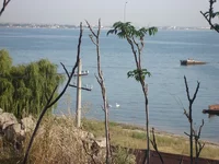 DSC03685.webp