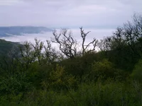 05060015.webp