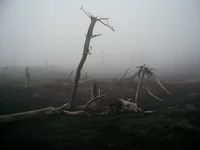 PIC_0220.webp