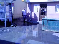 DSC00023.webp