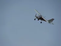 DSC00609.jpg