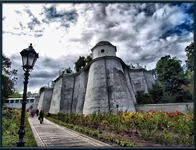  098 копия.webp