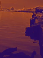  141(2).webp
