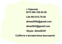15.webp