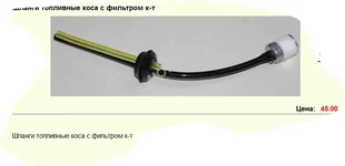 16.webp