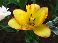 IMG_1795.webp
