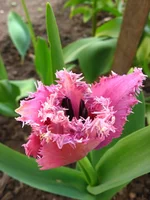 IMG_1796.webp