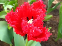 IMG_1797.webp