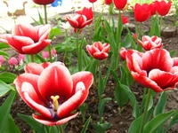 IMG_1800.webp