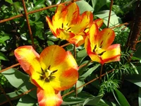IMG_1804.webp