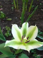 IMG_1809.webp