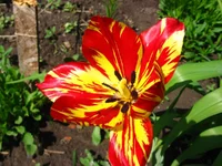 IMG_1812.webp