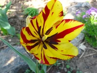 IMG_1814.webp