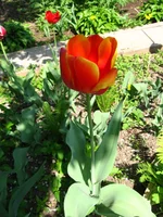 IMG_1820.webp