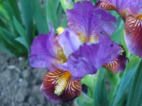 IMG_1861.webp