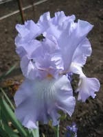 IMG_1923.webp