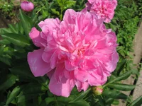 IMG_1920.webp