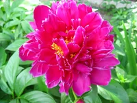 IMG_1956.webp
