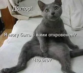  это.webp