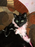 DSCN5188.webp