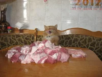 IMG_1877.webp