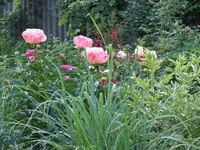 IMG_0285.webp