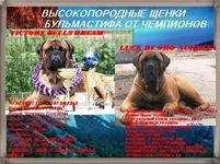getImage (30).webp