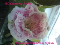 .люб.webp