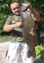 DSCN0936.webp