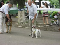 IMG_6363 (Large).JPG